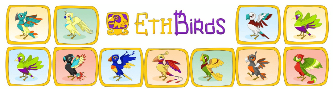 ETH Birds project