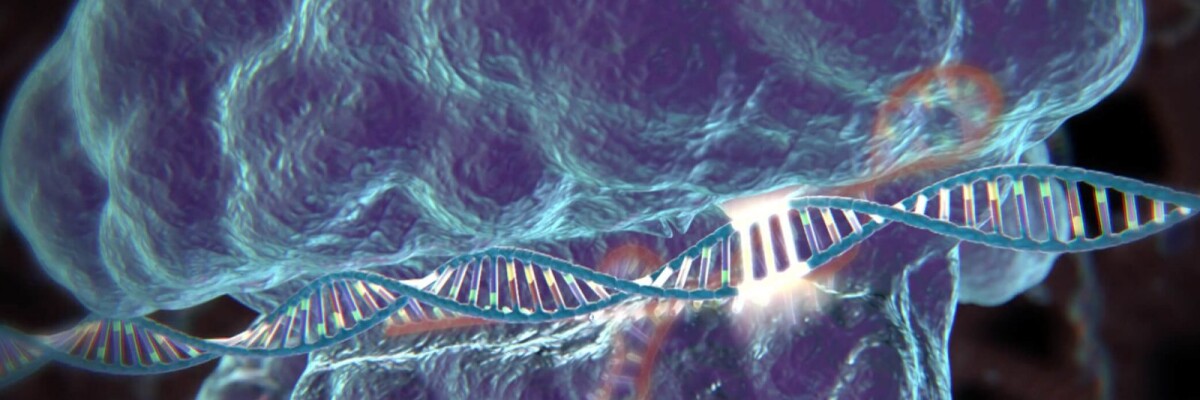 Correcting genetic mistakes with CRISPR/Cas