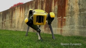 New robot SpotMini from Boston Dynamics: even more perfect and in a yellow case