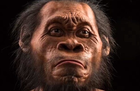 Another Reason for Evolutionary Change of Human Face Found