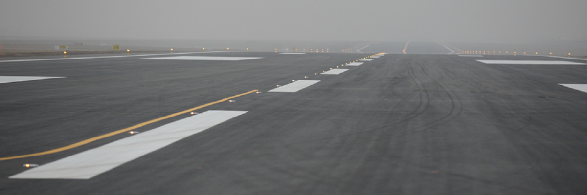 Bacteria will help build landing strips for US Air Force