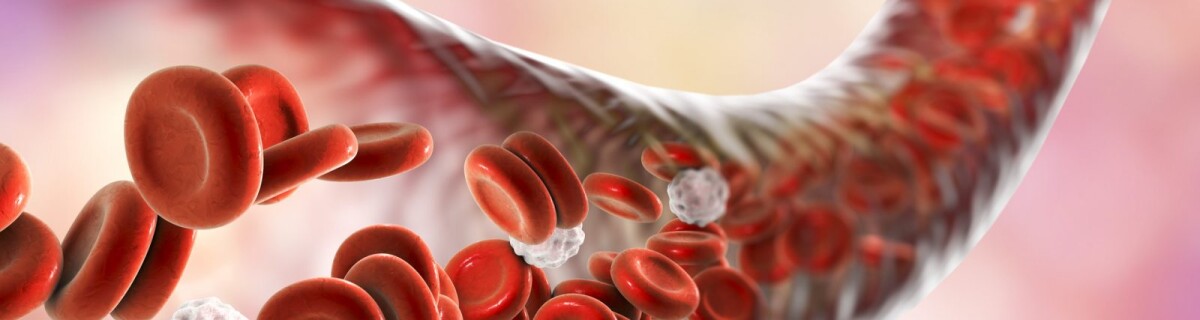 Scientists Discover New Type of Blood Vessels