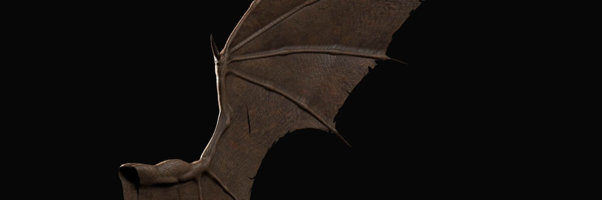 Scientists reveal dinosaur with bat wings
