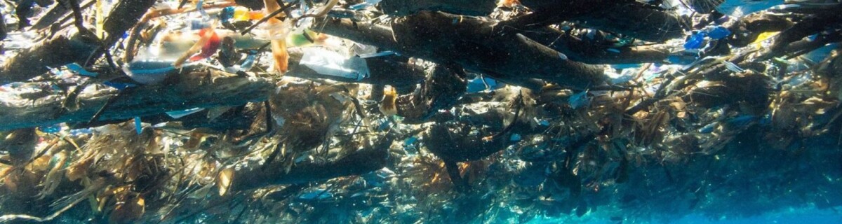 How can we clean up the World Ocean?