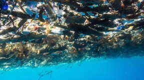Как очистить мировой океан?