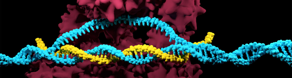 Российский ученый проведет операцию по исправлению генома эмбриона