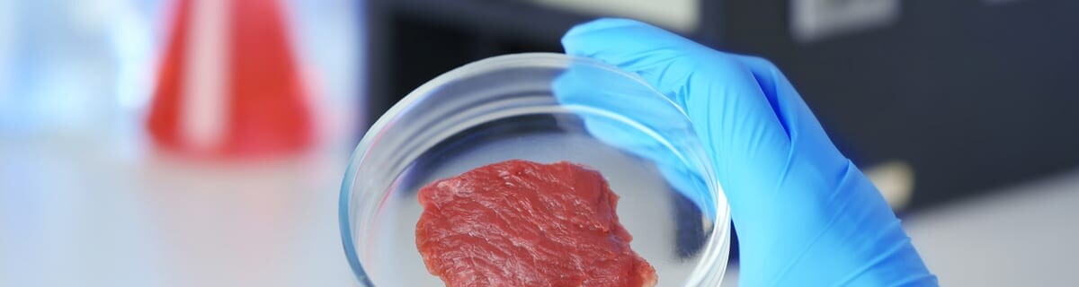 Компания Aleph Farms впервые вырастила мясо на МКС