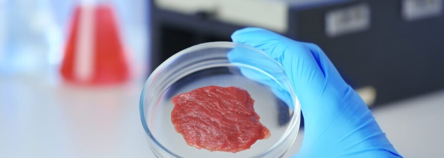 Aleph Farms grows meat on ISS for the first time