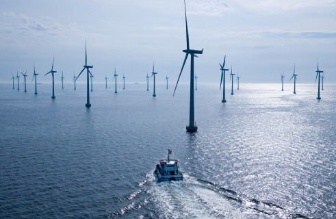 Международное энергетическое агентство: морская ветроэнергетика может дать больше электричества, чем нужно человечеству