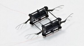 Robotic Bees Get Artificial Soft Muscles Similar to Those of Real Bees