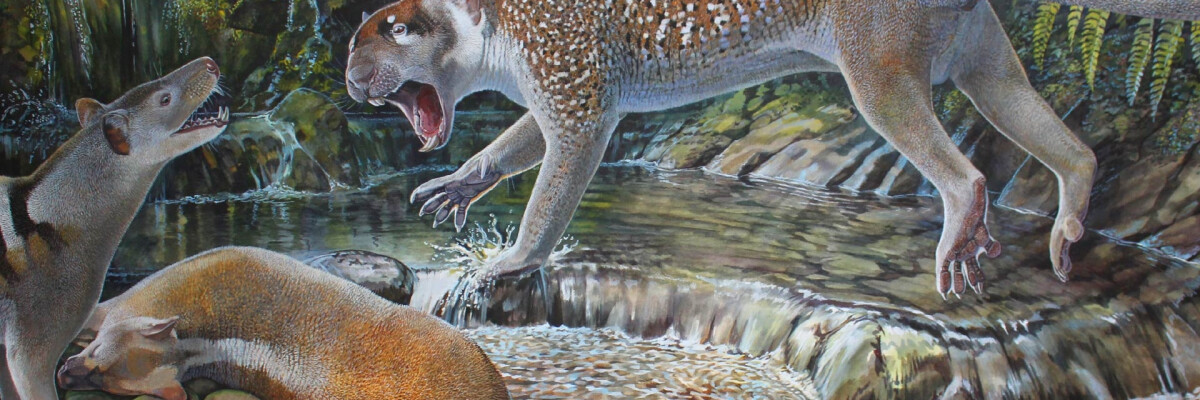 The remains of an ancient dwarf lion were discovered in Australia