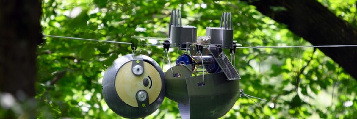 Ботанический сад Атланты принял на службу робота-ленивца SlothBot