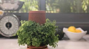 A New York startup has created a new system based on hydroponics technology that grows plants without soil
