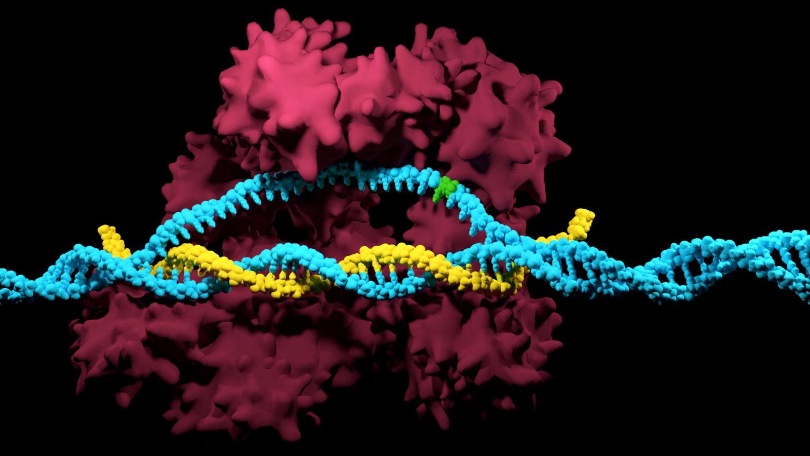 crispr cas перспективы