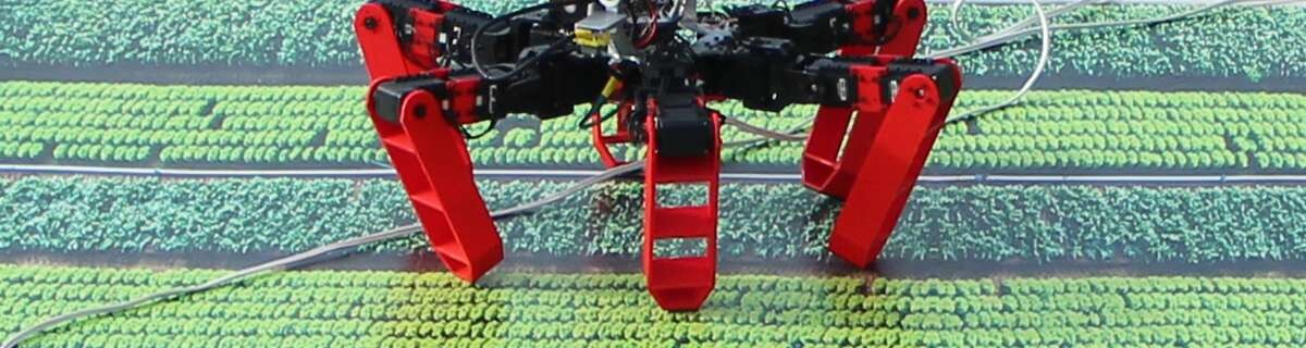 How ants help a robot to navigate without GPS