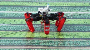 How ants help a robot to navigate without GPS