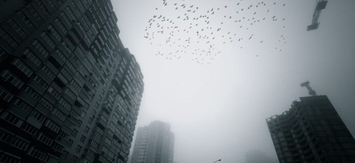 How do high-rise buildings harm migratory birds?