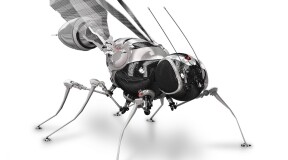 Dutch researchers have created a robot insect