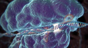 Исправление генетических ошибок с помощью CRISPR/Cas