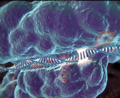 Correcting genetic mistakes with CRISPR/Cas