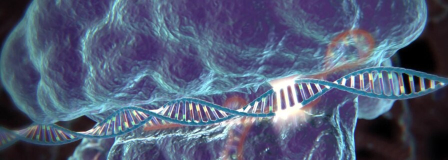 Correcting genetic mistakes with CRISPR/Cas