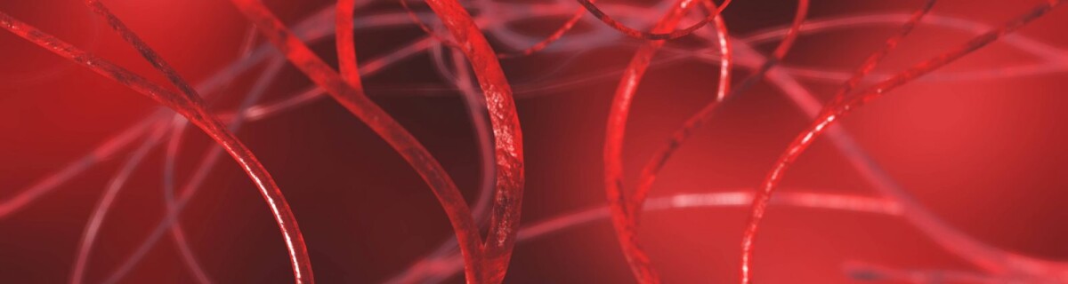 Scientists grow blood vessels from stem cells