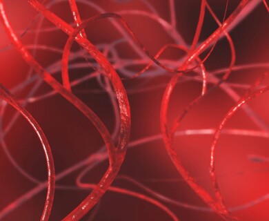 Scientists grow blood vessels from stem cells