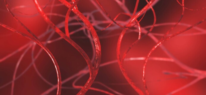 Scientists grow blood vessels from stem cells