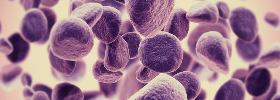 Contemporary science and medicine in the fight against cancer