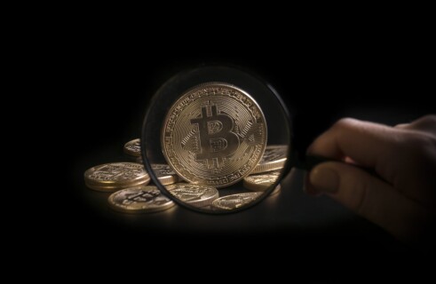 Cryptocurrencies companies are ready to pay those who find scammers