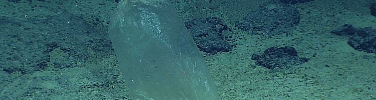 Колонки из мусора