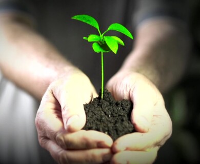 Researchers Warn of an Environmental Disaster Risk