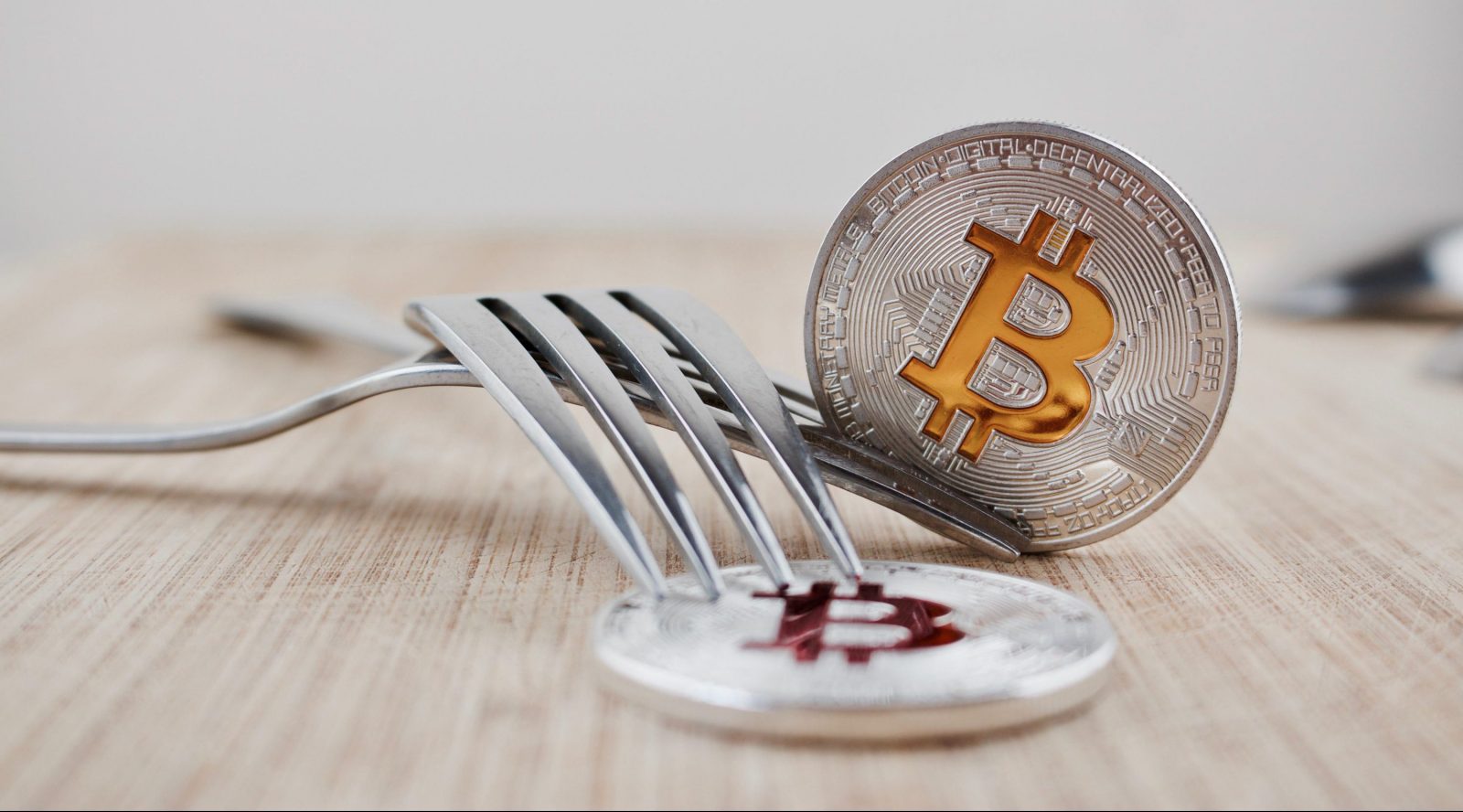 what to do when a crypto currency forks