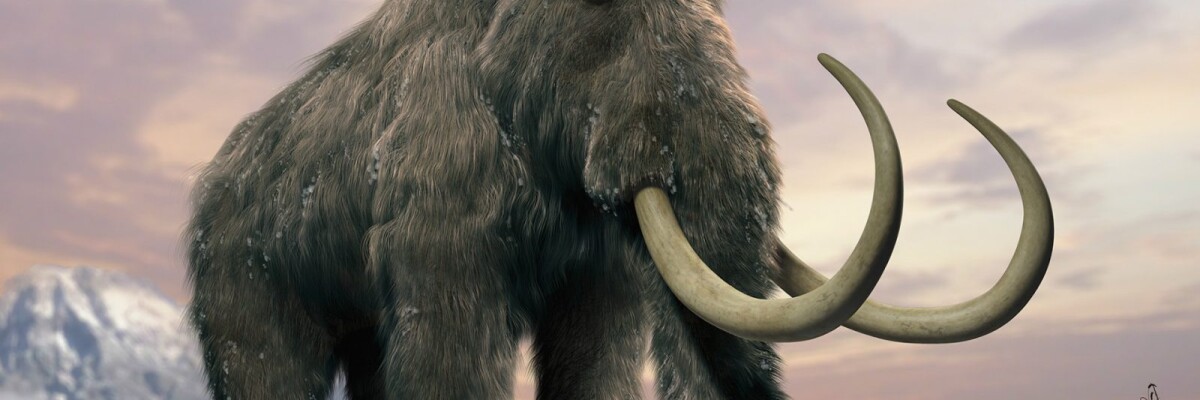 Scientists activate ancient mammoth cells