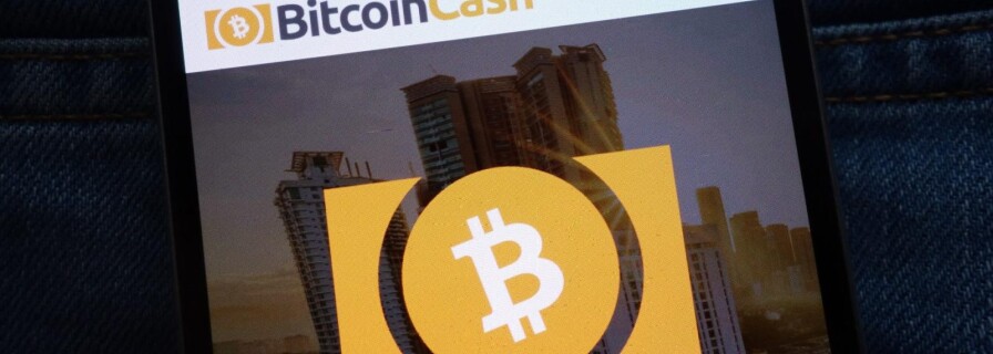 What is behind Bitcoin Cash Growth?