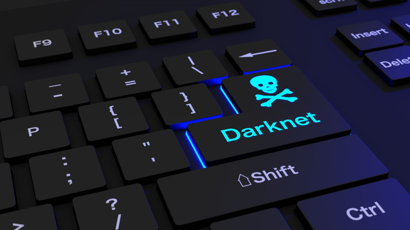 The Darknet - Hitecher