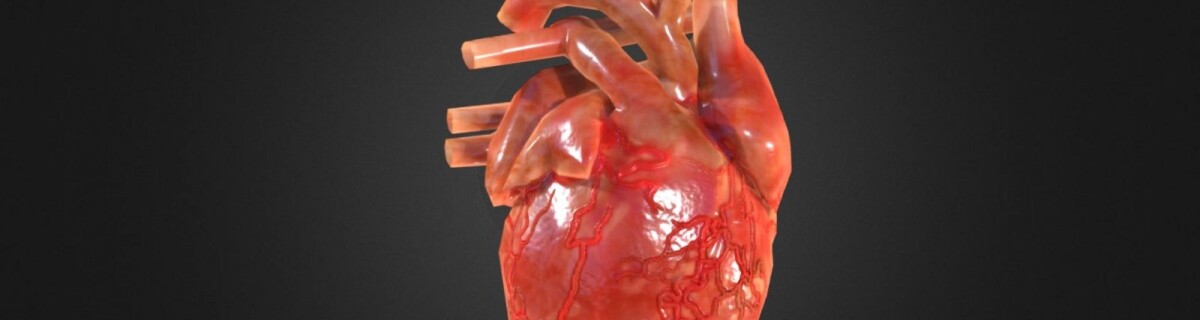 Scientists introduce 3D printed heart