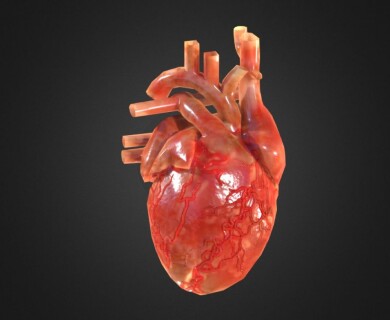 Scientists introduce 3D printed heart