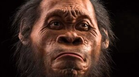 Another Reason for Evolutionary Change of Human Face Found