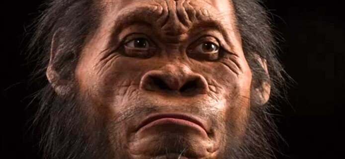 Another Reason for Evolutionary Change of Human Face Found