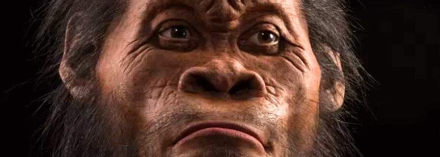 Another Reason for Evolutionary Change of Human Face Found