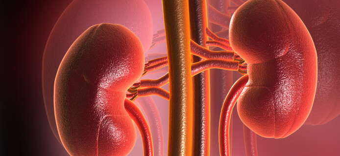 Drone makes first kidney transplant delivery