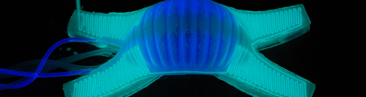 Harvard researchers are making a breakthrough in soft robots
