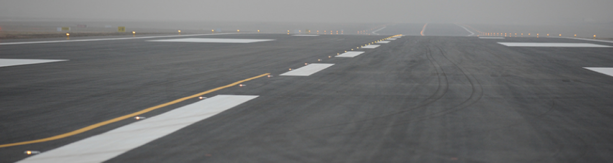 Bacteria will help build landing strips for US Air Force