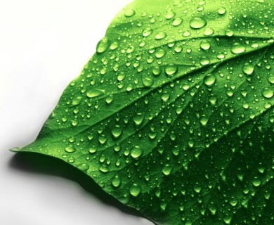 Scientists invent new atmosphere purification technology