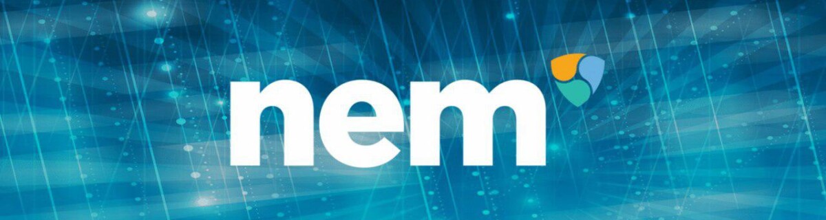 Все, что нужно знать о NEM