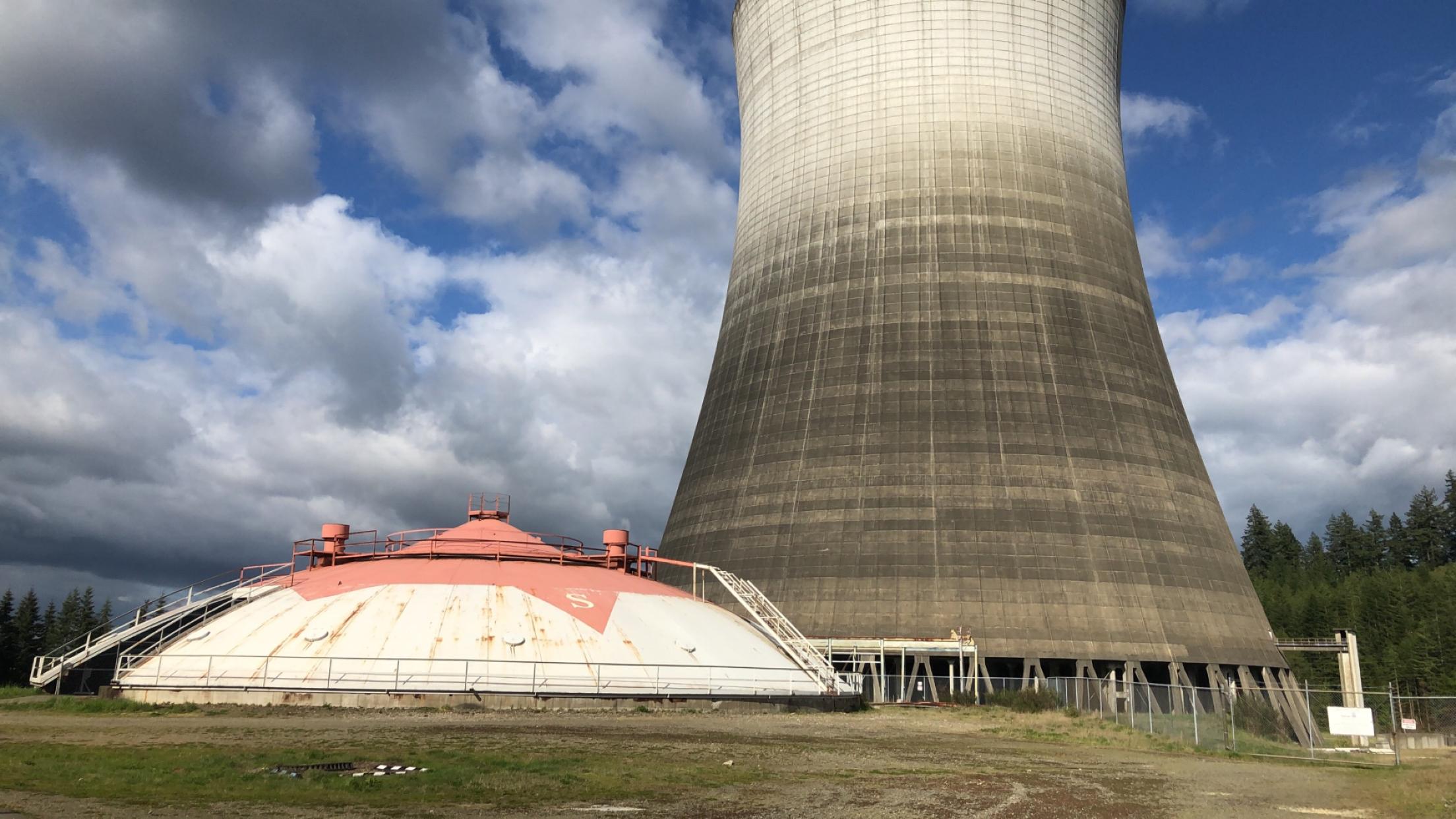 Ядерные реакторы атомных электростанций. АЭС Палюэль. Реактор РОАЭС. АЭС «Yankee Rowe». Ядерный реактор на Октябрьской набережной.