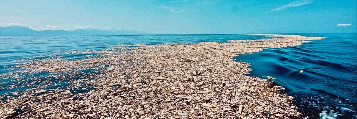 Что скрывает океанический мусор? НКО основателя Google сделала удивительное открытие