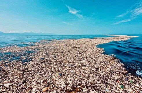 What is hidden under marine debris? Google founder’s NGO makes startling discovery