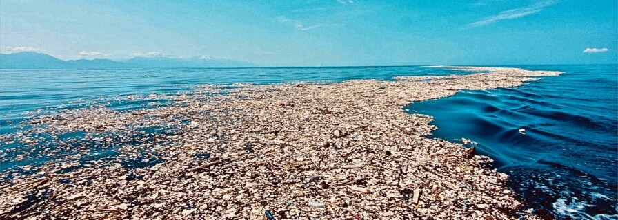 What is hidden under marine debris? Google founder’s NGO makes startling discovery